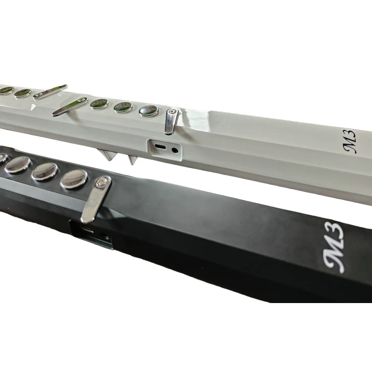 Electronic Blowing Instrument