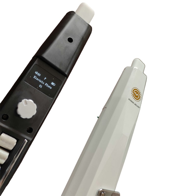 Electronic Flute Instrument