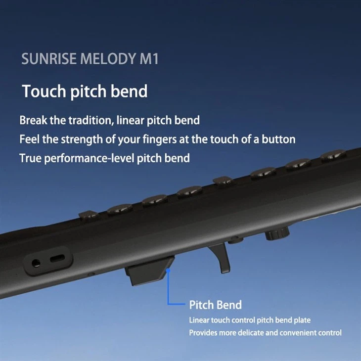 electronic woodwind instrument electronic woodwind instrument