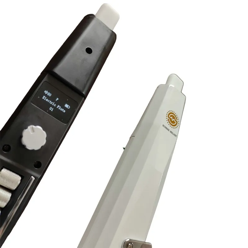 electronic woodwind instrument