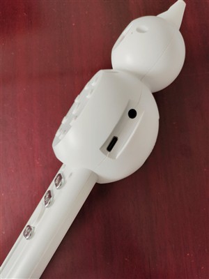 How to practice the sense of rhythm when playing the Electric Hulusi Gourd Fl...