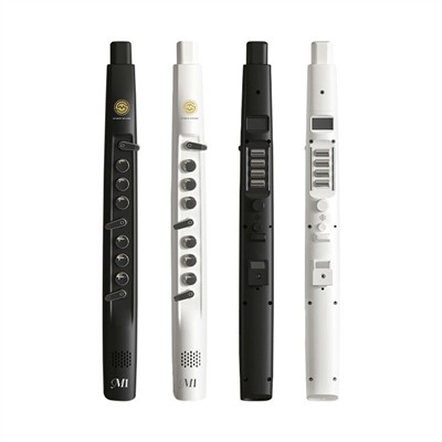 What are the basic techniques for playing the ewi?