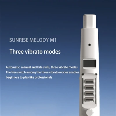 Introduction to the Functions of Each Button on the Sunrise Melody Electronic...