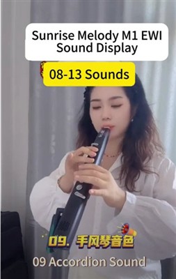 SUNRISE MELODY M1 Electronic Wind Instrument Sound Display 08-13 Sounds