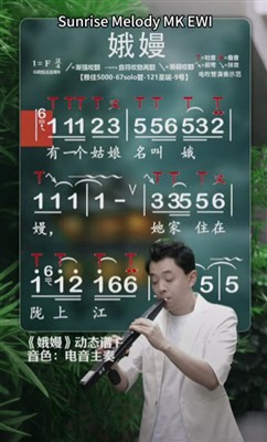 MK EWI Digital Saxophone Cover 雁南飞