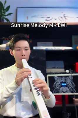 MK EWI Electronic Wind Instrument Sound Display 姑娘生来爱唱歌