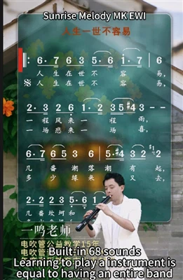 MK EWI Electronic Wind Instrument Sound Show 人生一世不容易
