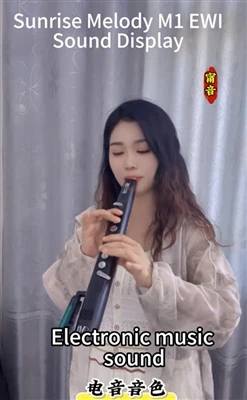 SUNRISE MELODY M1 EWI Electric Saxophone (Electronic Music Sound) Sound Displ...