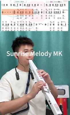 Sunrise Melody MK EWI Sound Display 画你