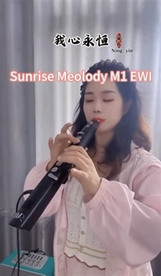 My Heart Will Go On, SUNRISE MELODY M1 Electronic Wind Instrument Sound Displ...