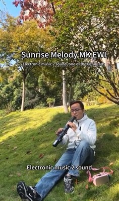 Funeral Of Flowers 葬花吟 Sunrise Melody MK EWI Electronic Wind Instrument Elect...