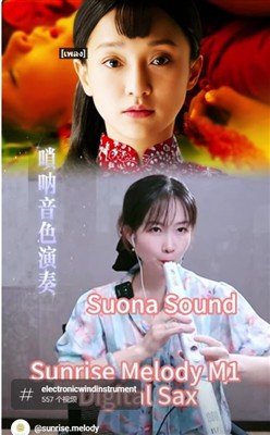 M1 EWI Electric Saxophone Sound Show, Suona sound, Jiuer 九儿