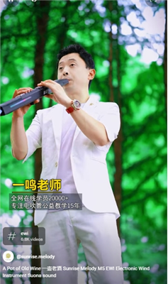 Sunrise Melody MK Ewi Wind Instrument Focus On Instruments