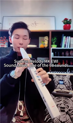 Sunrise Melody MK Electric Flute Music Is Part Of Life