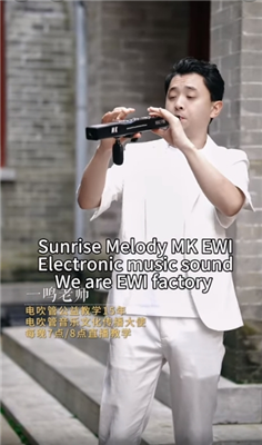 Sunrise Melody MK Electric Alto Saxophone Music Is Part Of Life