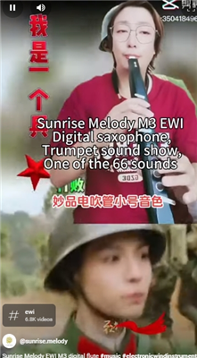 Sunrise Melody MK Digital Saxophone For Beginners Music Is Part Of Life