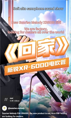 Sunrise Melody XR6000 Woodwind Saxophone Music Is Part Of Life