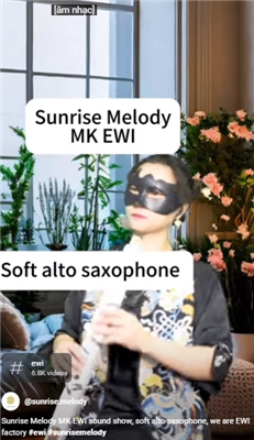 Sunrise Melody Digital Soft Medium Saxophone Sound 《千上万水总是情》
