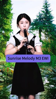 Sunrise Melody M3 EWI,High-end Professional Musical Instruments
